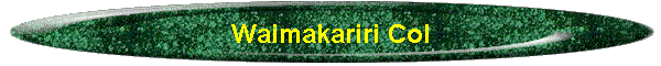 Waimakariri Col