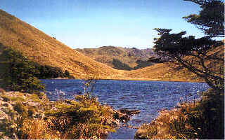 Diamond lake, above Cobb valley